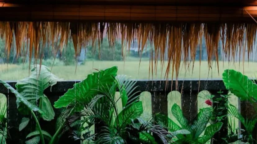 Parina Spa Ubud - Main Image