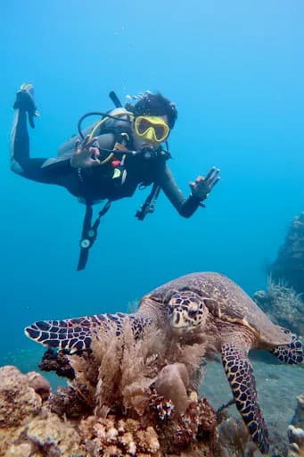 Amed Jepun Divers - Main Image