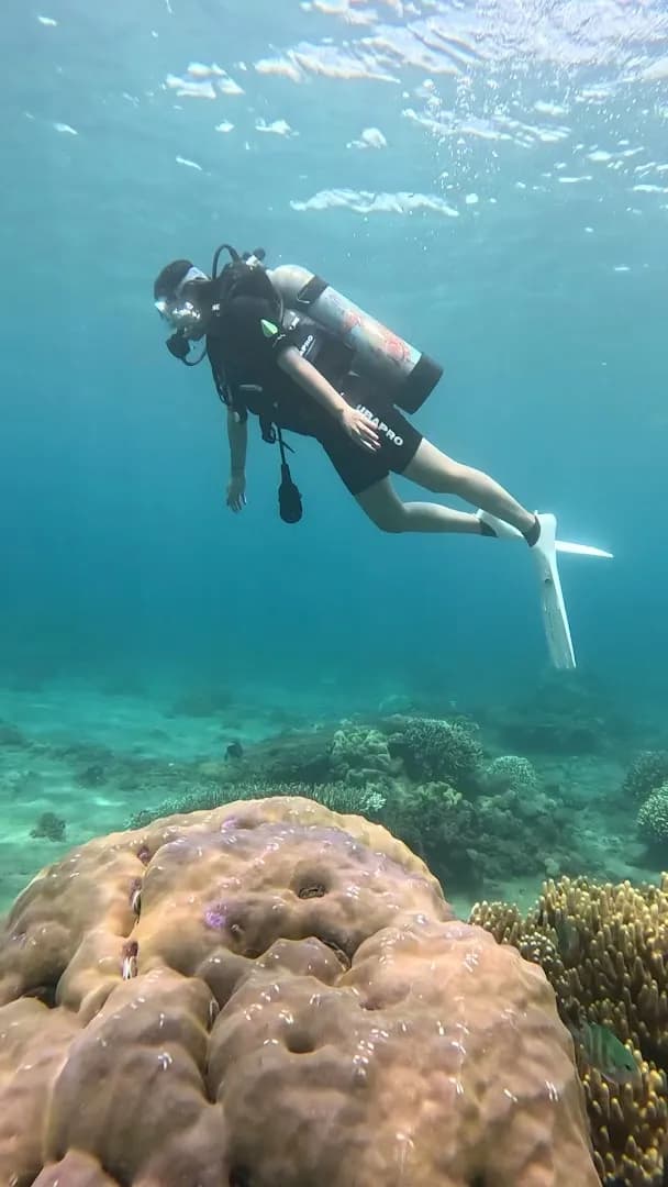 Banyuwangi Diving School - Main Image