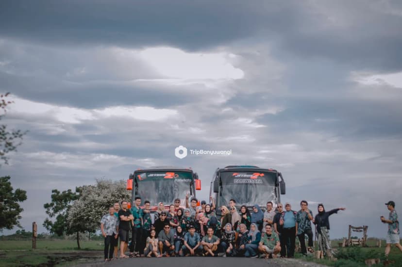 TripBanyuwangi - Main Image