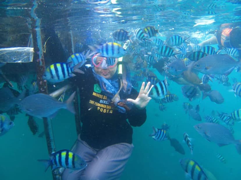 Bangsring Underwater - Main Image