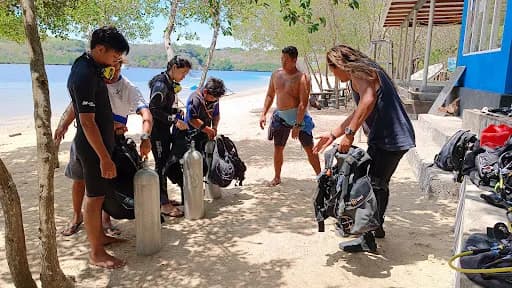 Ray Menjangan Dive - Main Image