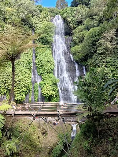 Northwest bali taxi tour - Main Image