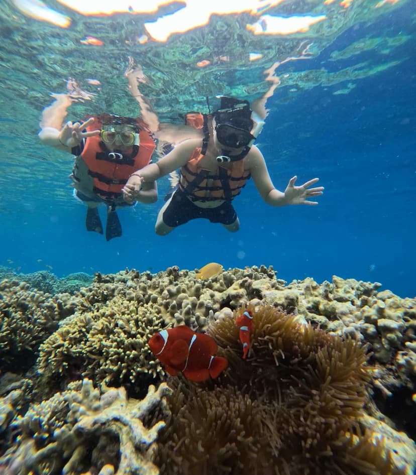 Pemuteran Menjangan Snorkeling & Diving - Main Image