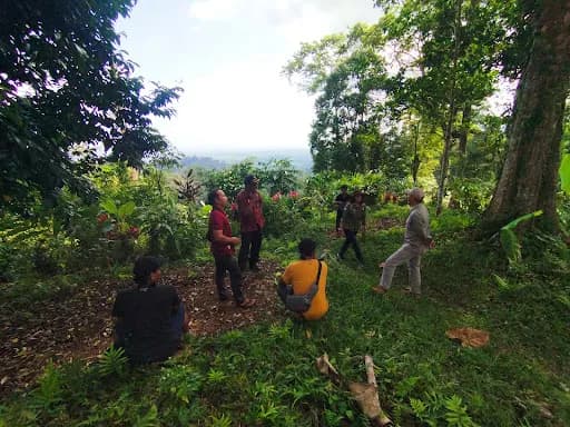 MANSON camping ground - Main Image