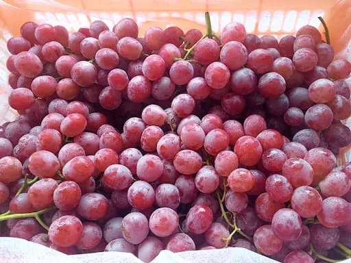 TOKO ASRI BUAH - Main Image
