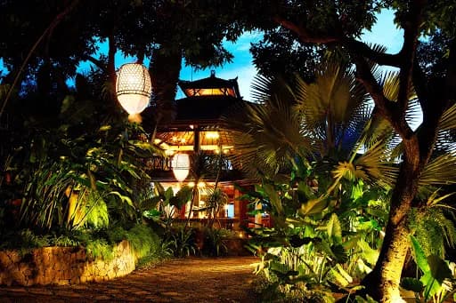 The Damai - Main Image