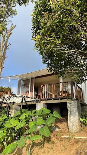 Harsa Eco Luxury Camp - Main Image