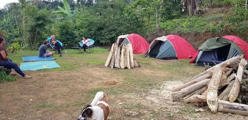 Sakala Camp - Main Image