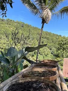 Warung Lembah Melanting - Main Image