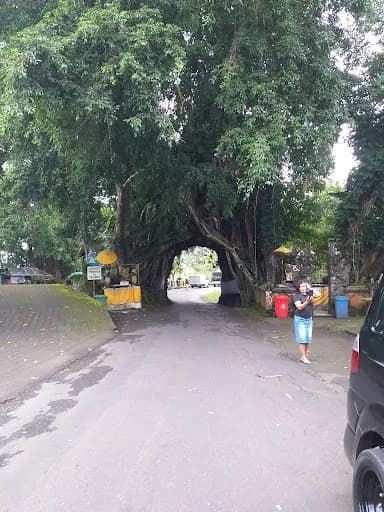 Munduk bali transport service - Main Image