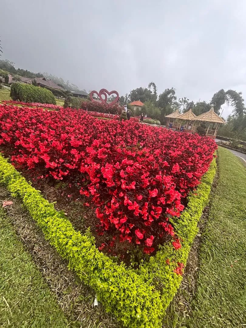 The Blooms Garden Mini Teletubbies House - Main Image