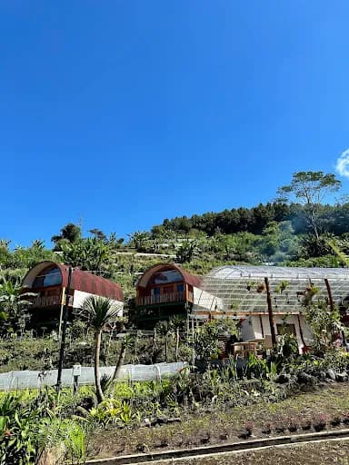 Pondanu Living - Main Image