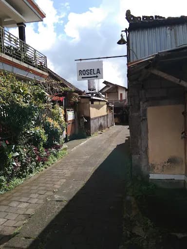 Rosela bedugul - Main Image