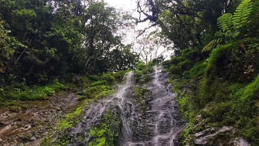 Tirta Mampeh Waterfall - Main Image