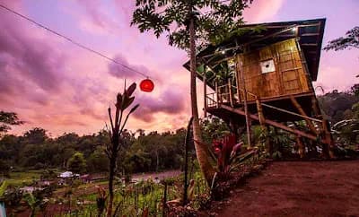 Bali Tree House Pelangi - Main Image
