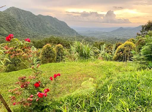 Lemukih Camping Hill - Main Image