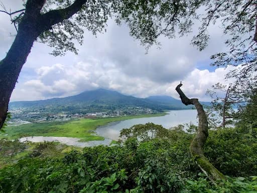 Wisata Monyet - Main Image