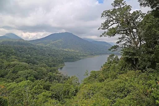 Buyan Lake Nature Park - Lake Tamblingan - Main Image