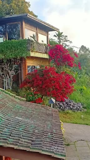 Dajan Buyan Homestay - Main Image