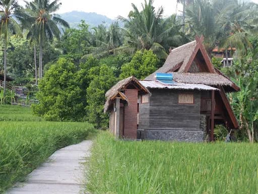 Pondok Kunang Kunang - Main Image