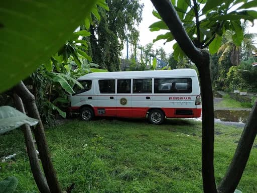 Perama Tour & Travel - Lovina - Main Image