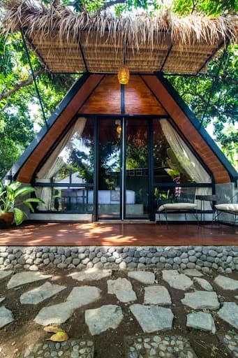 Mango forest - Main Image