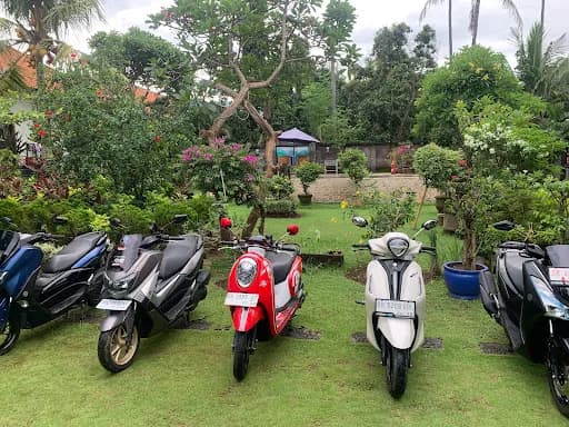 Bluetour Rental Bike - Main Image
