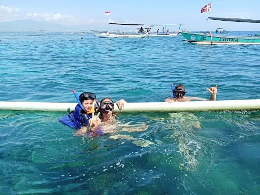 Everyday With Dolphin Tour (Mang Dode) - Main Image