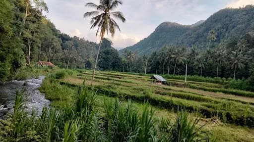 lovina bali driver - Main Image