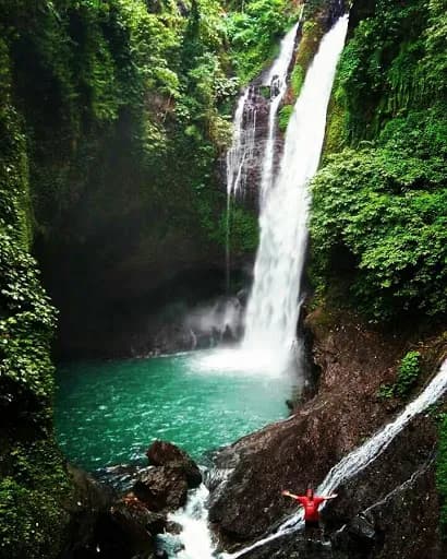 Dolphin Sunrise Lovina - Main Image