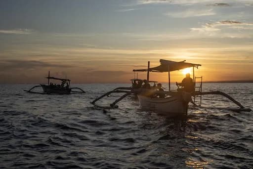 Lovina Dolphin fly so high jeger - Main Image