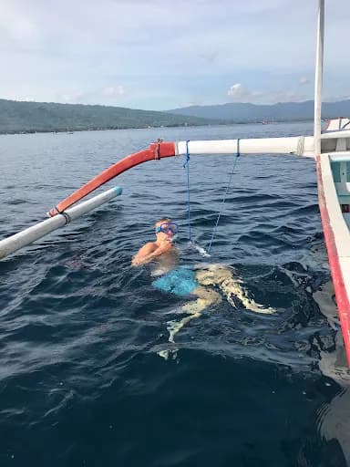 Lovina Dolphin Snorkeling - Main Image