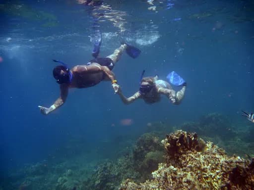 Lovina Marine Activities - Main Image