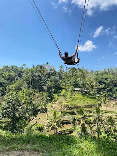 Bali Tours Activities By BaliVentur - Main Image