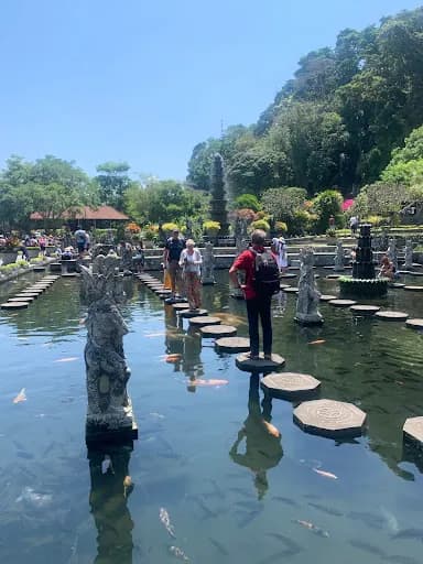 Bali bull taxi service - Main Image