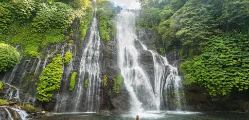 Bali Driver Recommended - Main Image