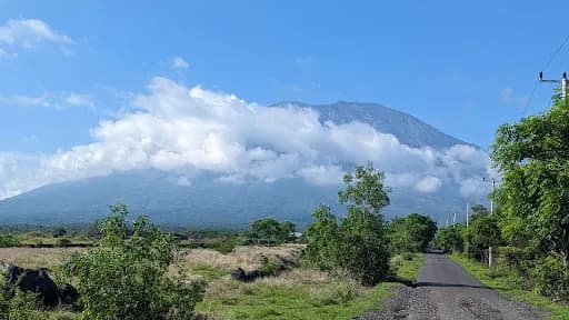 Savana Nusu - Main Image