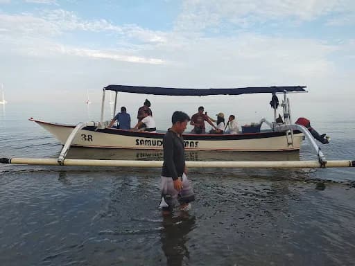 lovina dolphin watching swim snorkelling - Main Image