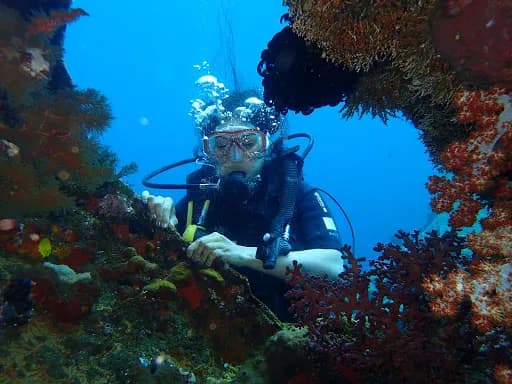 Aqua Dive Paradise - Main Image