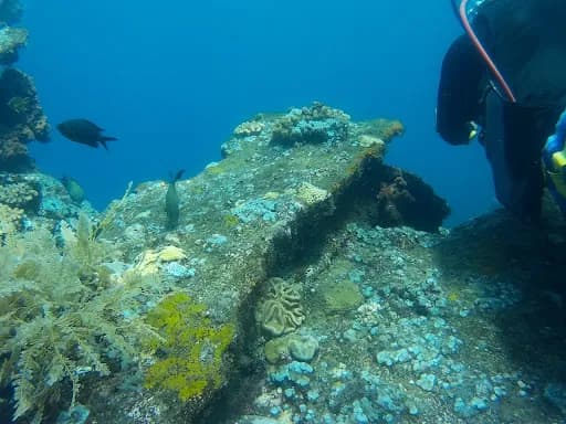 Liberty Wreck Dive - Main Image