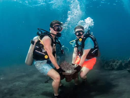 Bali Conservation Diving - Main Image