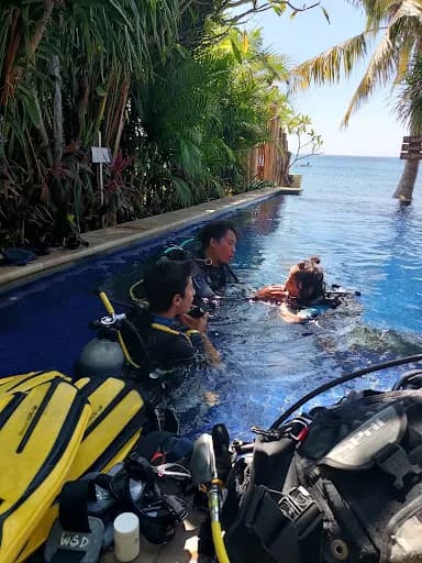 Ocean Tree Bali - Diving in Amed - Main Image