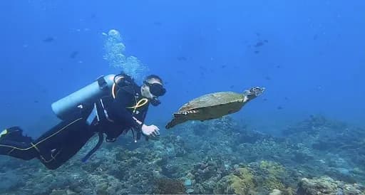 Ocean Dive League IDC center - Main Image