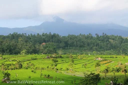 PANGI karangasem - Main Image