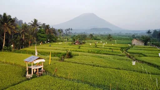 Cinggu view - Main Image