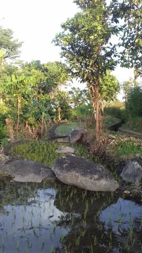 Warung bambu jalur 11 - Main Image