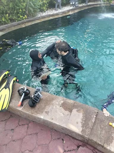 Bambu Divers - Main Image