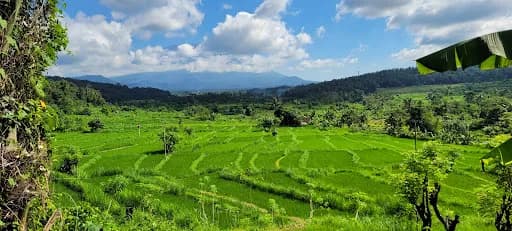 Candidasa Explorer Tours - Main Image