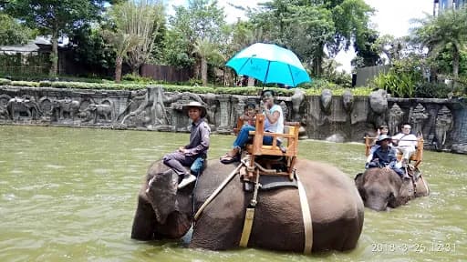 Agus Permana Transport Padangbai - Main Image